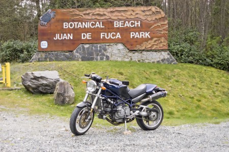 Ducati - BotanicalBeach